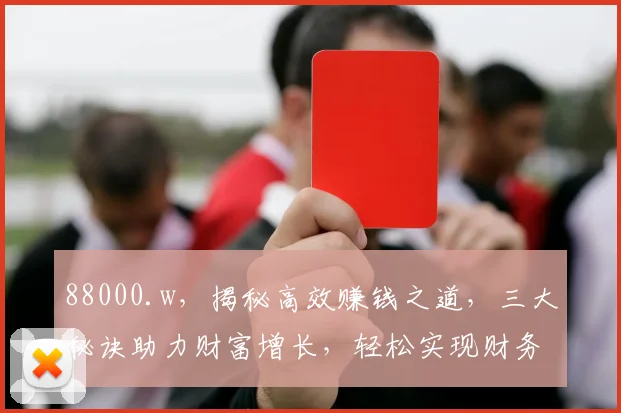 88000.w，揭秘高效赚钱之道，三大秘诀助力财富增长，轻松实现财务自由