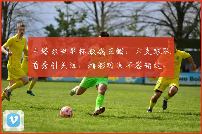 卡塔尔世界杯激战正酣，六支球队首秀引关注，精彩对决不容错过，亮点频现