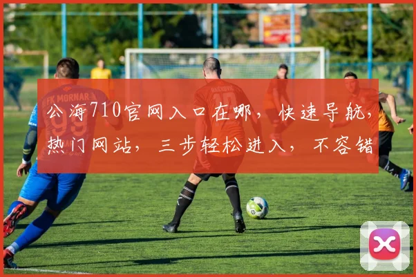 公海710官网入口在哪，快速导航，热门网站，三步轻松进入，不容错过